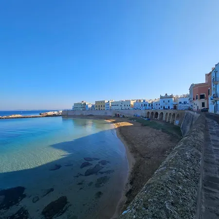 Lola's Gallipoli